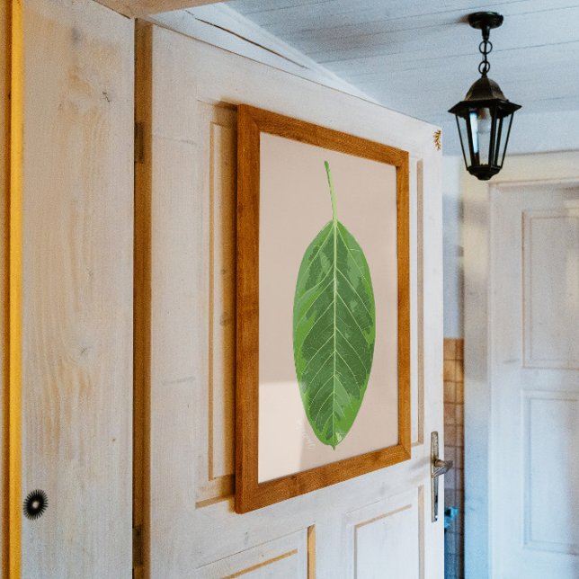 Póster Folha "Gema Amarelo" Ficus altissima (Criador carregado)