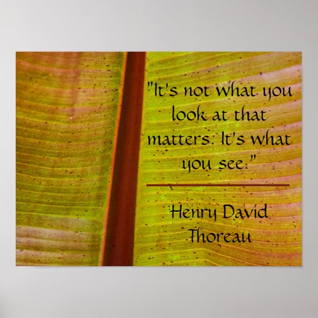 Poster Folha Inspiradora (Frente)