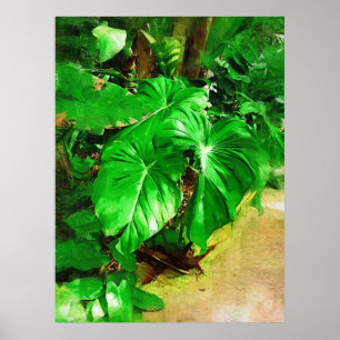 Póster folha tropical, jardins tropicais de Fairchild,
