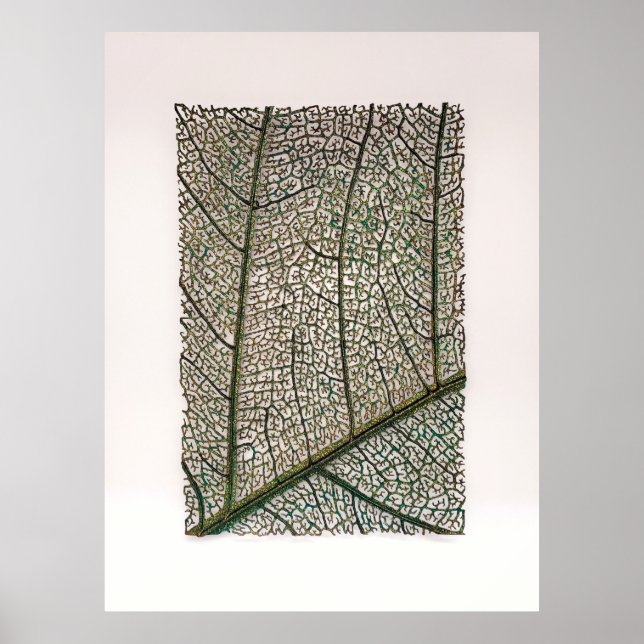 Poster Folha verde (Frente)