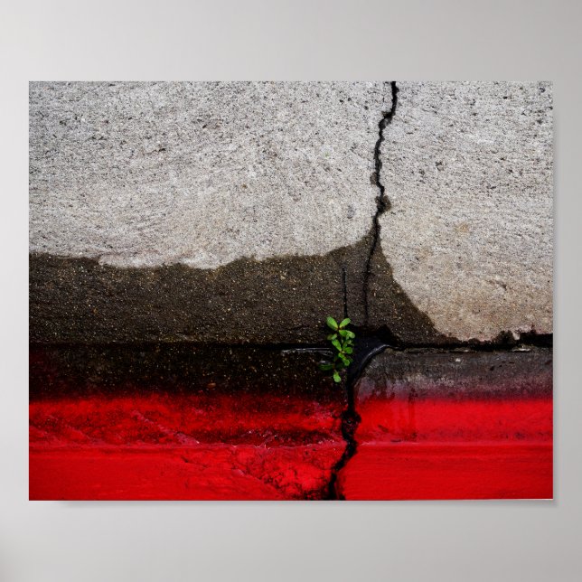 Poster Folha Verde (Frente)