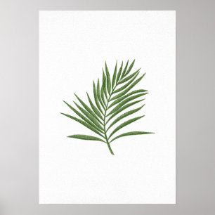Poster Folha Verde 3