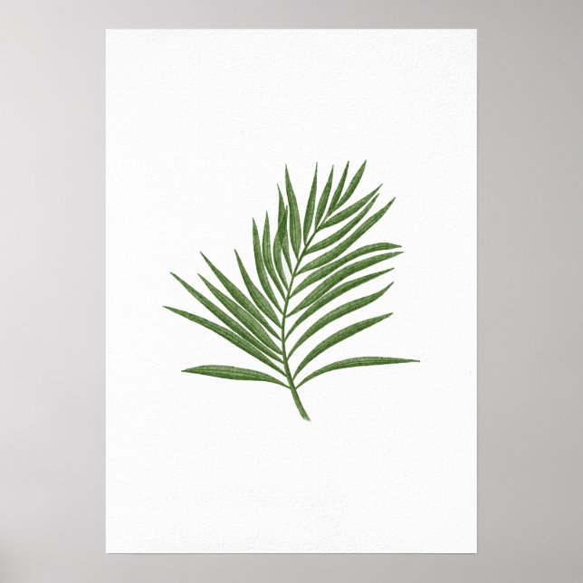 Poster Folha Verde 3 (Frente)