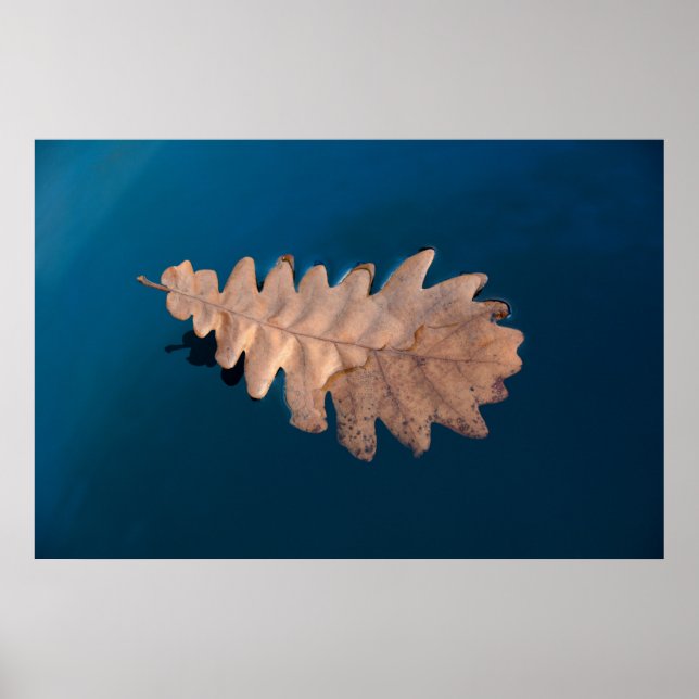 Poster Folhagem (Frente)