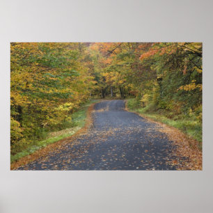 Póster Folhagem de estrada, Southern Vermont, EUA