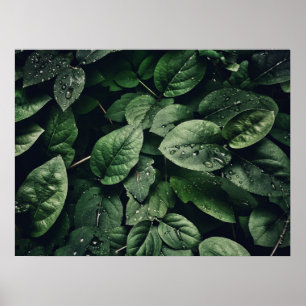 Poster Folhagem de Folha de Folha Verde