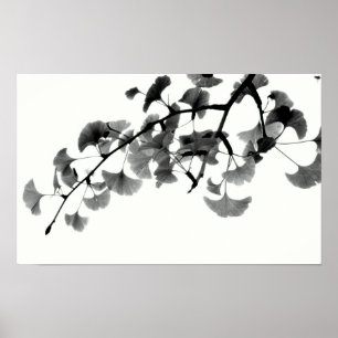 Póster Folhagem de Gingko Biloba em Preto e Branco
