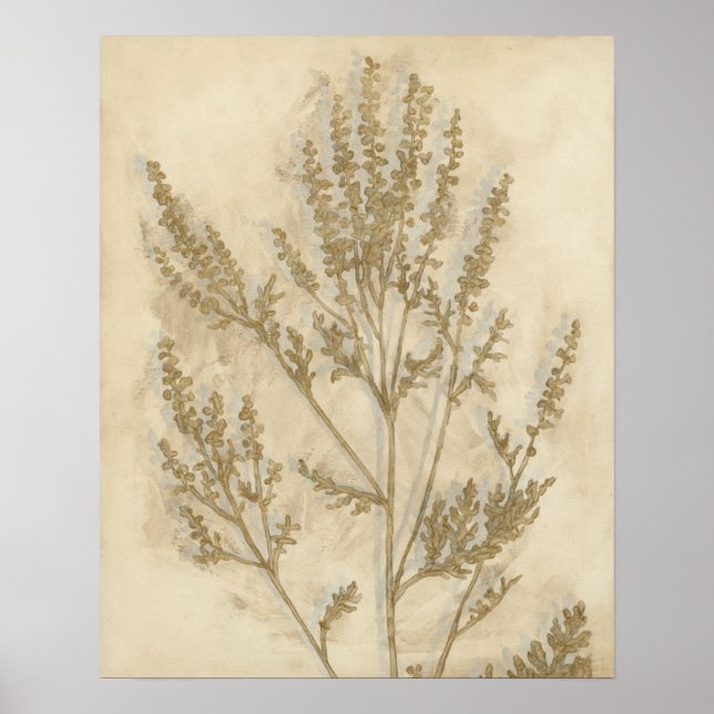 Póster Folhagem II (Frente)