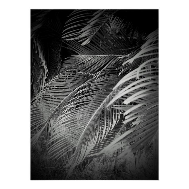 Póster Folhas (Frente)