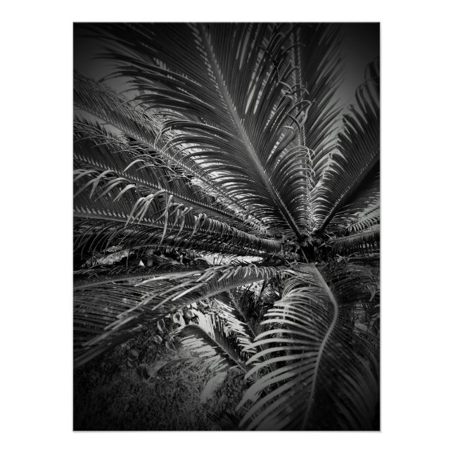 Póster Folhas (Frente)