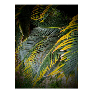 Póster Folhas
