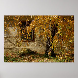 Poster folhas amarelas