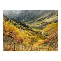 Folhas amarelas naturais do outono