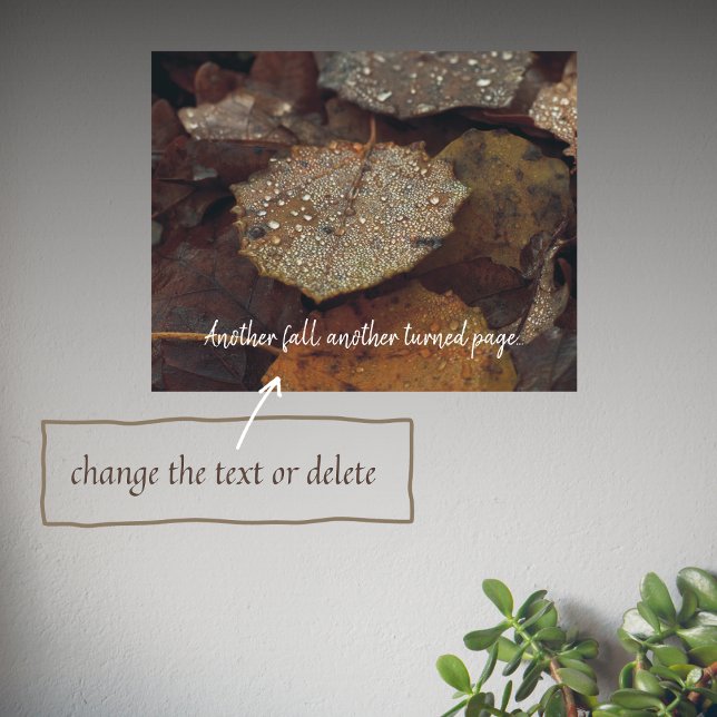 Poster Folhas caídas castanhas após chuva (Criador carregado)