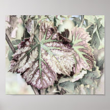 Folhas Coloridas com outono colorido desenho