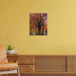 Poster Folhas Coloridas de Outono Fotográficas