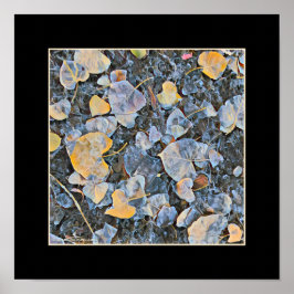 Poster Folhas Congeladas