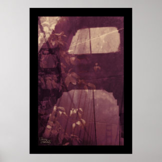 Póster folhas da ponte