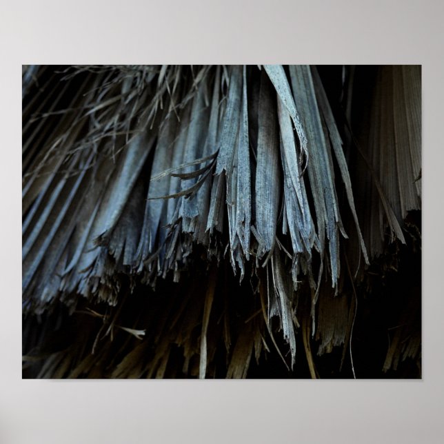 Póster Folhas de Árvore Palm (Frente)