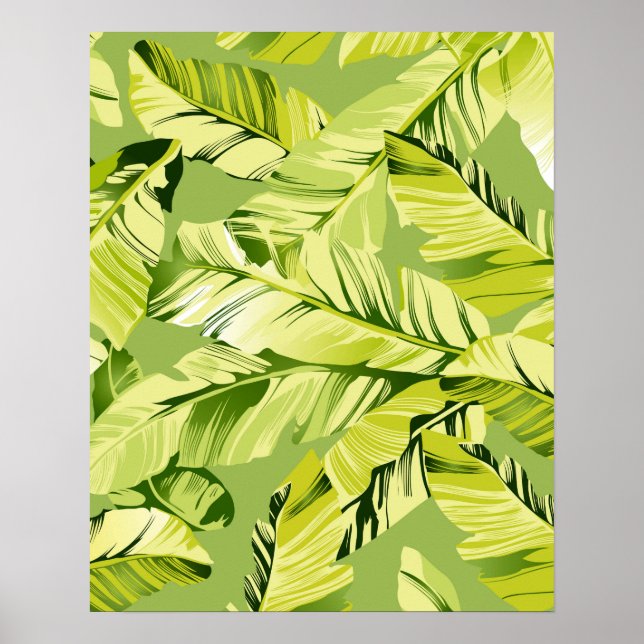 Poster Folhas de Banana 5 (Frente)