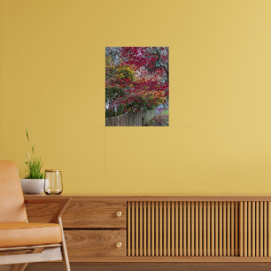 Poster Folhas de Bordo Vermelhas e Amarelas de Outono