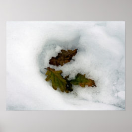 Poster Folhas de carvalho na tela do cartão de feriado pa