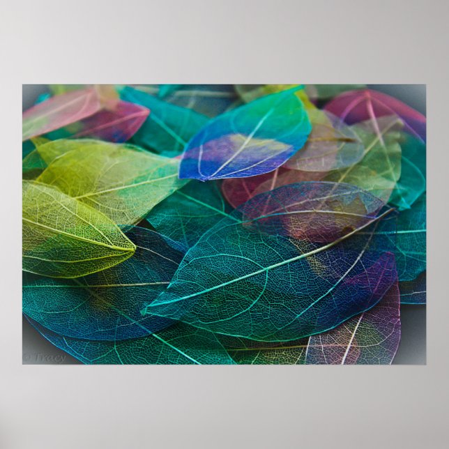 Póster Folhas de esqueleto (Frente)