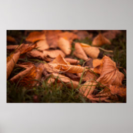 Poster Folhas de outono