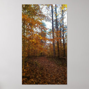Poster Folhas de outono