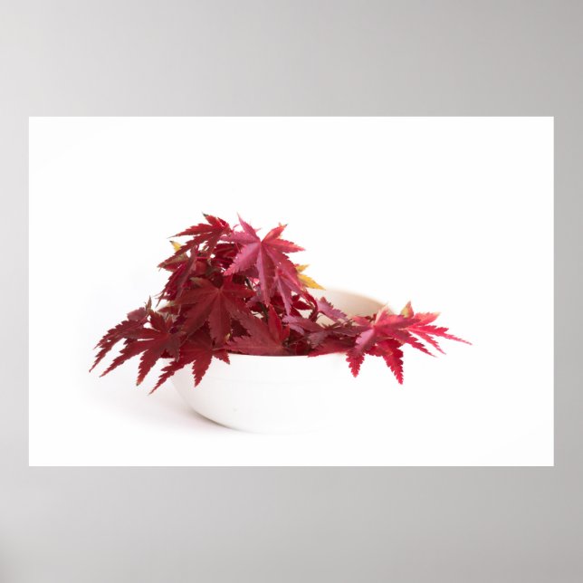 Poster Folhas de outono (Frente)