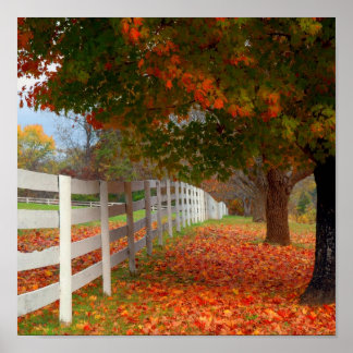 Poster Folhas de outono