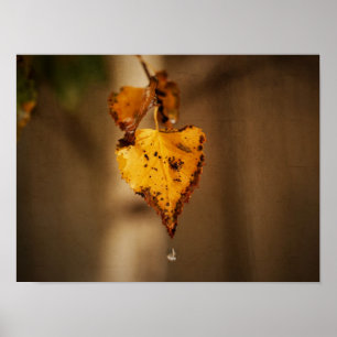 Poster Folhas de outono