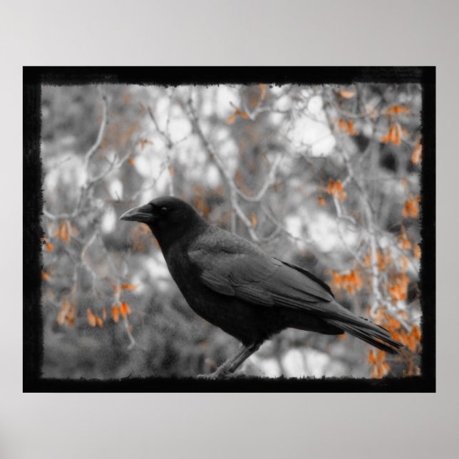 Póster Folhas de outono (Frente)