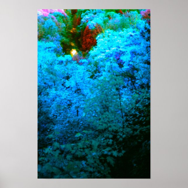 Póster Folhas de outono Azul Coloridas (Frente)
