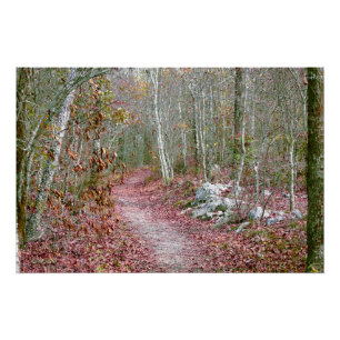 Póster Folhas de Outono Cor-de-Rosa Trilha Goat Rock Arka