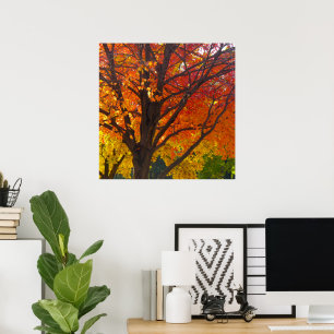 Poster Folhas de Outono de Amarelo e Laranja Foto