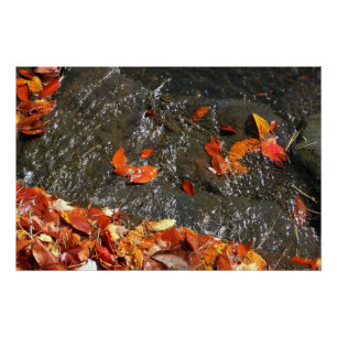 Póster Folhas de Outono na Cachoeira I Fotografia de Outo