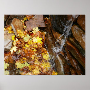 Poster Folhas de Outono na Cachoeira III Natureza de Outo