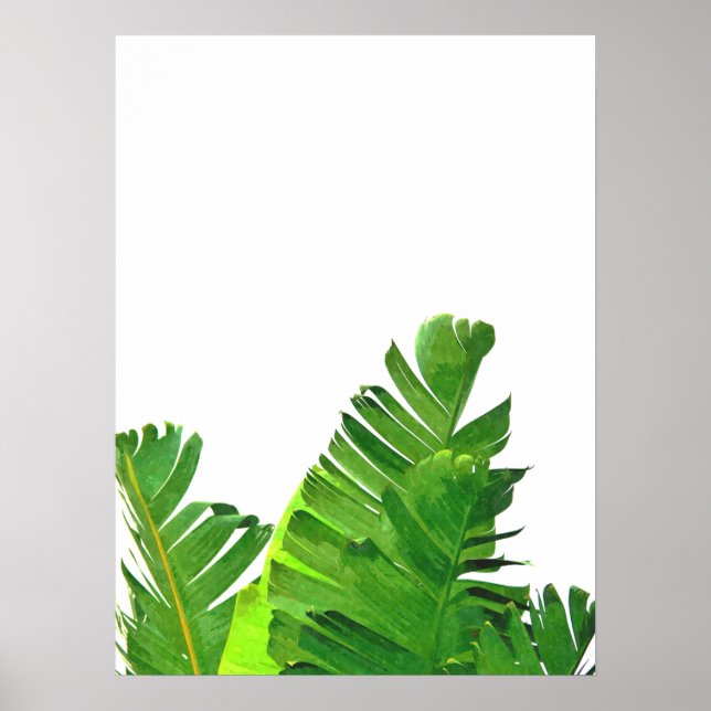 Poster Folhas de Palma Tropical Verde (Frente)