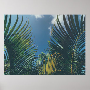 POSTER FOLHAS DE PALMAS TROPICAIS