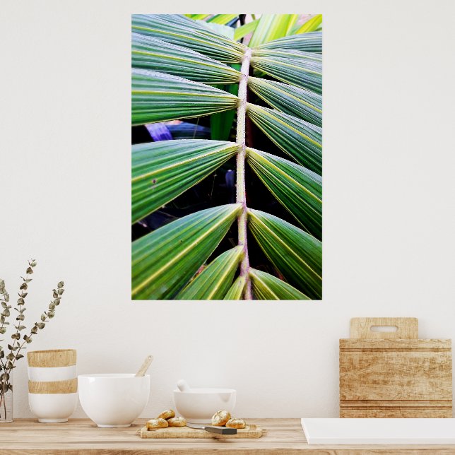 Poster folhas de palmeira (Cozinha)