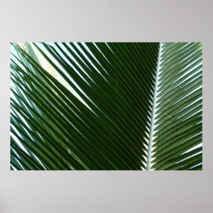 Póster Folhas de Palmeira Sobrepostas Verde Tropical Abst