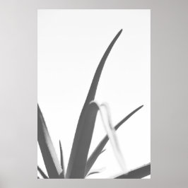 Poster Folhas de Planta do Alojamento Branco preto monocr