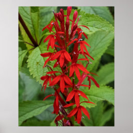 Poster Folhas de Vermelho