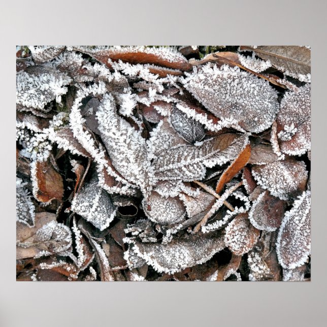 POSTER FOLHAS DO INVERNO (Frente)