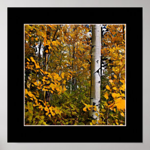 Póster Folhas do ouro