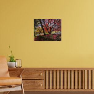 Poster Folhas e Árvores Coloridas de Outono Paisagem
