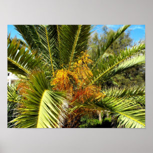 Póster Folhas e flores de palmeira