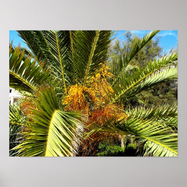 Póster Folhas e flores de palmeira (Frente)