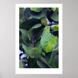 Poster Folhas Esculturais